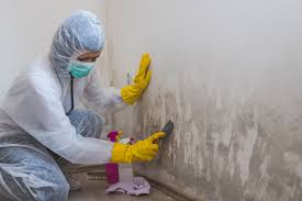 Best Crawl Space Mold Remediation  in Sam Rayburn, TX